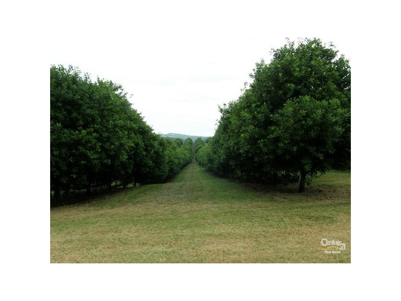 193 Channon Road, Dunoon NSW 2480