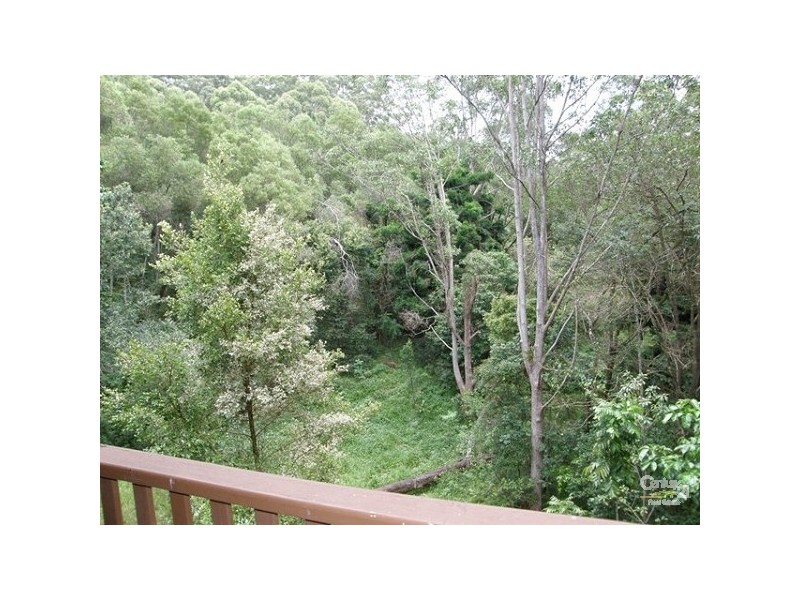359 Bagotville Road, Meerschaum Vale NSW 2477