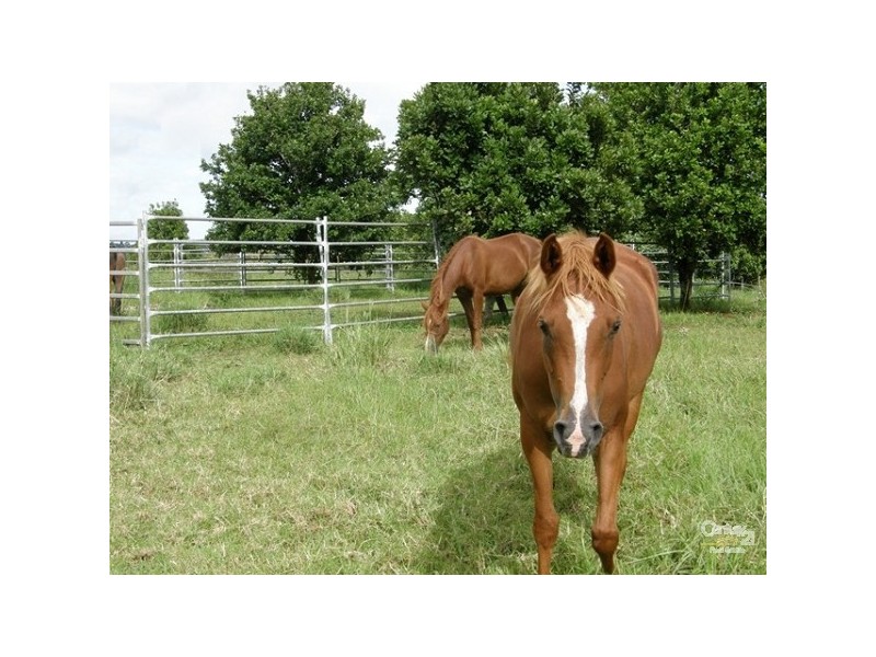 1930 Dunoon Road, Dunoon NSW 2480