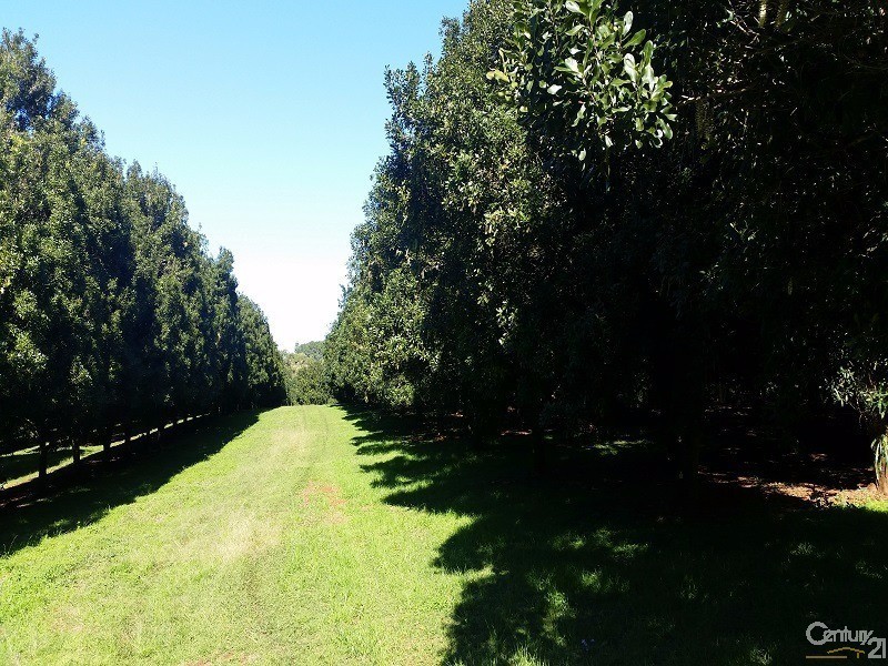 1 Robb Street, Alstonville NSW 2477