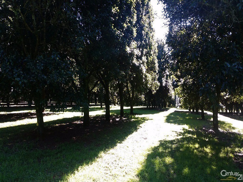 1 Robb Street, Alstonville NSW 2477