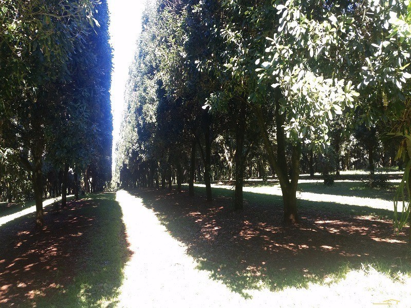 1 Robb Street, Alstonville NSW 2477