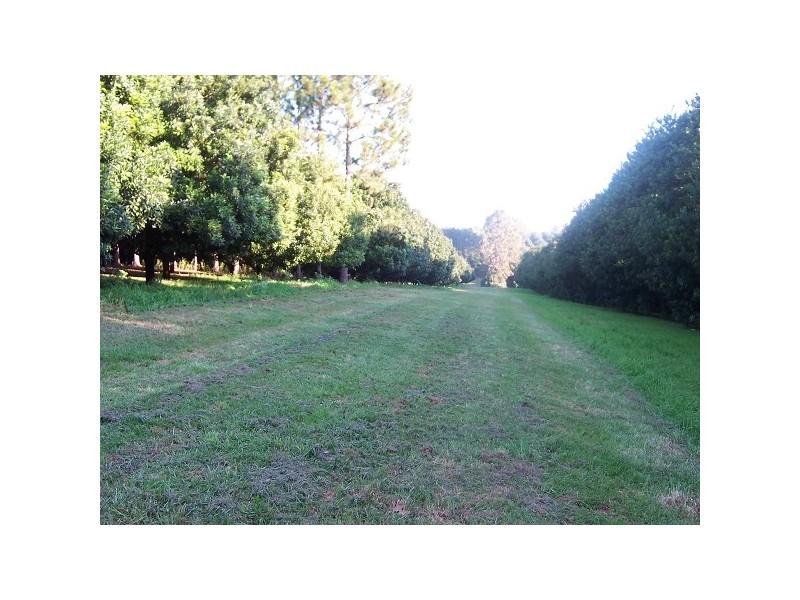 . Nutmac Bangalow Road, Clunes NSW 2480