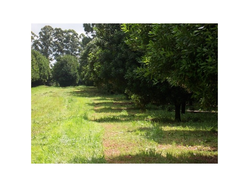 . Nutmac Bangalow Road, Clunes NSW 2480