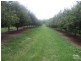 Lismore NSW 2480