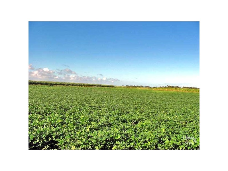 South Ballina NSW 2478