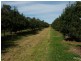 1172 Bulmers Road, Hogarth Range NSW 2469
