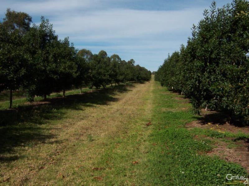 1172 Bulmers Road, Hogarth Range NSW 2469