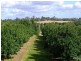 1172 Bulmers Road, Hogarth Range NSW 2469