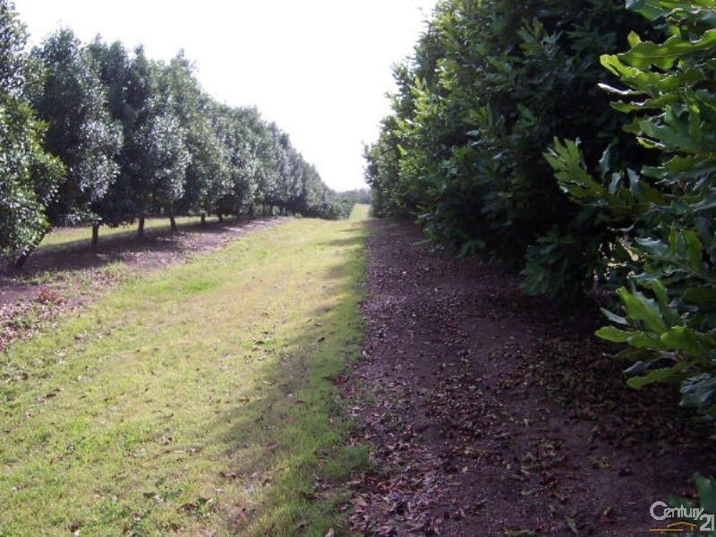 1172 Bulmers Road, Hogarth Range NSW 2469