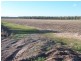 Bora Ridge NSW 2471