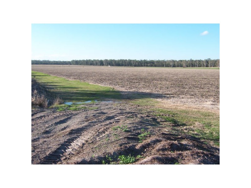 Bora Ridge NSW 2471