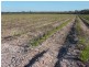 Bora Ridge NSW 2471
