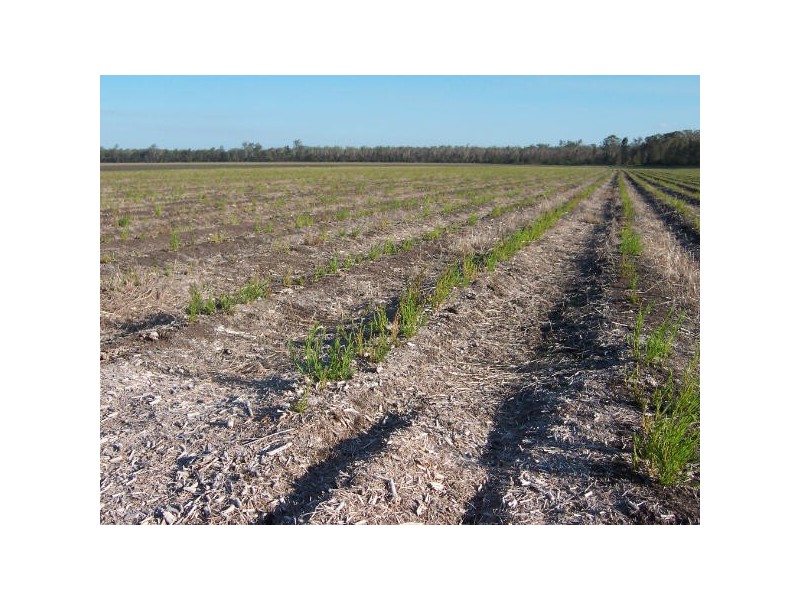 Bora Ridge NSW 2471