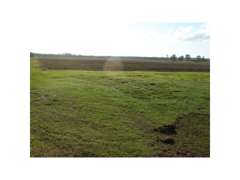Bora Ridge NSW 2471