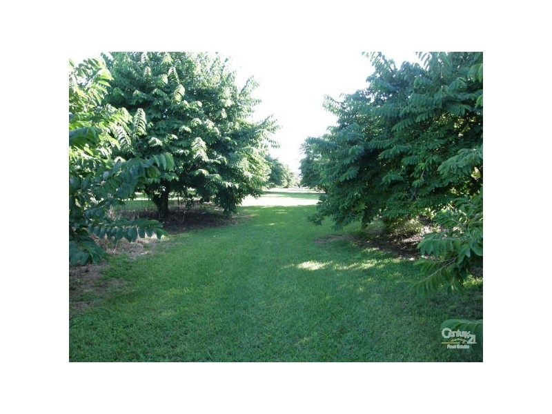 Alstonville NSW 2477