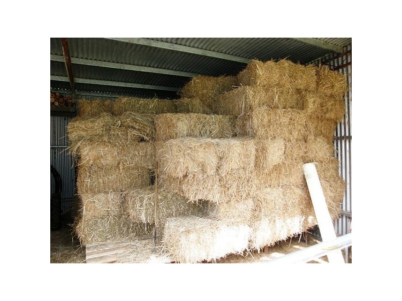 6 Saunders Road, Dyraaba NSW 2470