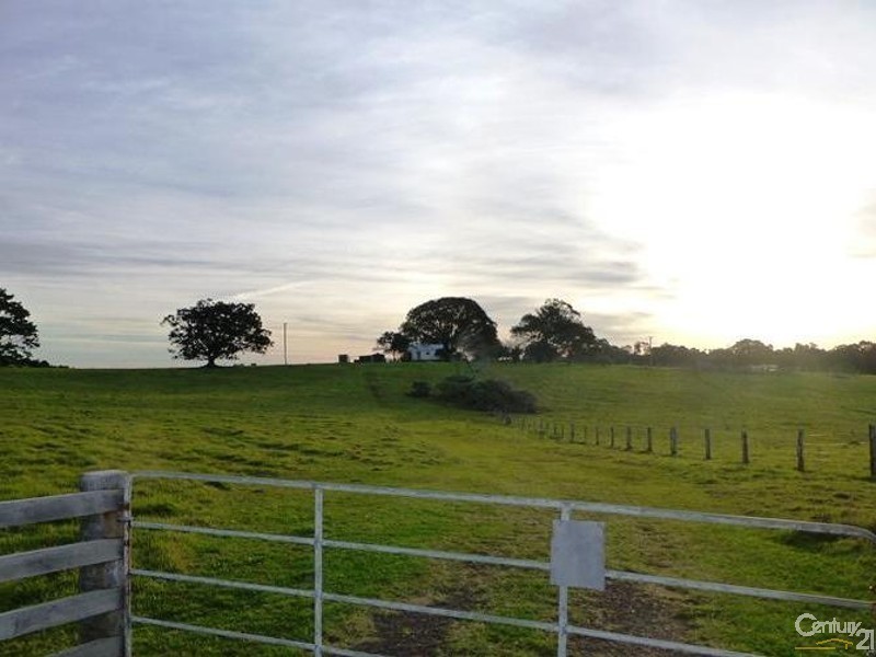696 Tregeagle Road, Tregeagle NSW 2480