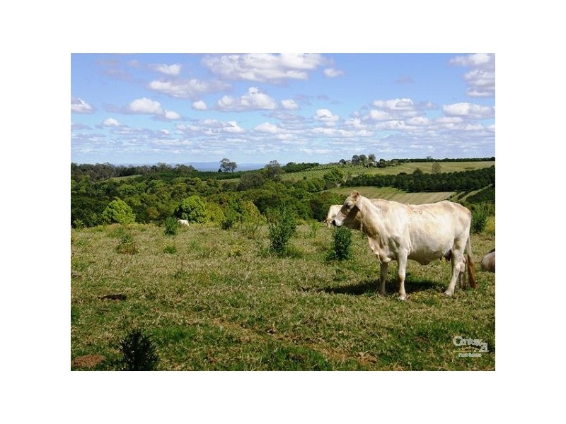 696 Tregeagle Road, Tregeagle NSW 2480