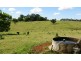696 Tregeagle Road, Tregeagle NSW 2480