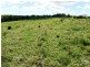 696 Tregeagle Road, Tregeagle NSW 2480