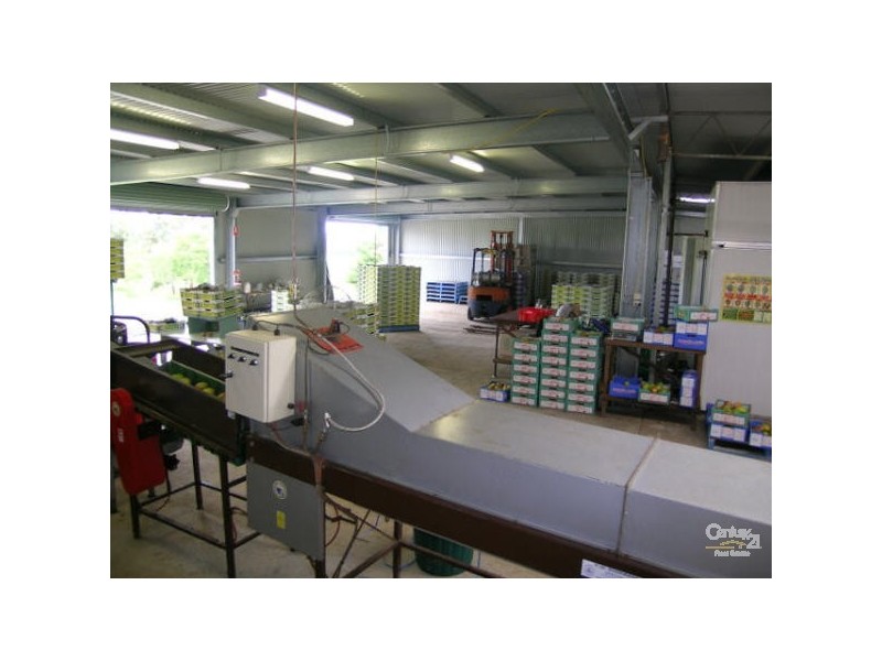100 Lees Lane, Hogarth Range NSW 2469
