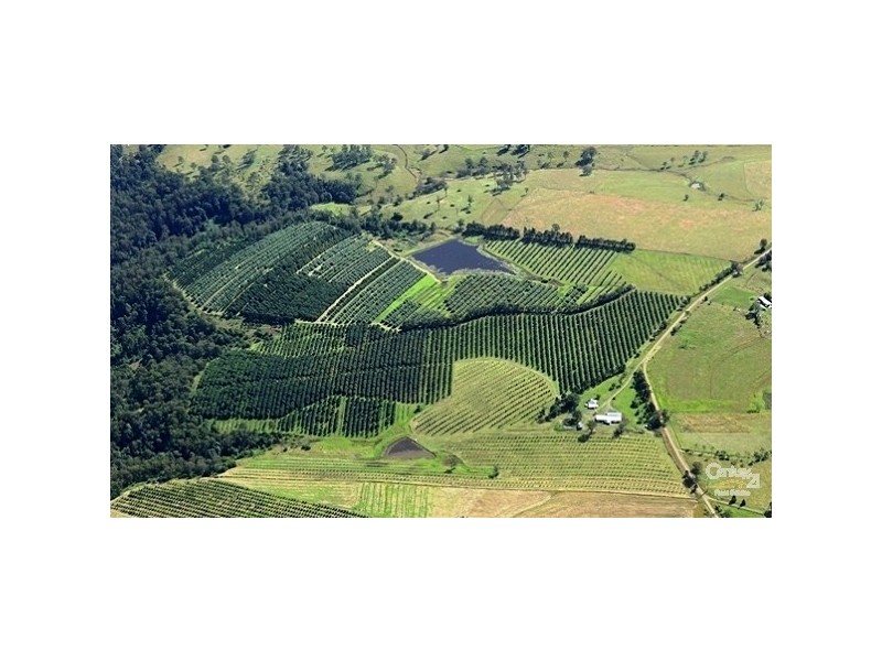 100 Lees Lane, Hogarth Range NSW 2469