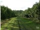 100 Lees Lane, Hogarth Range NSW 2469
