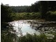 Dunoon NSW 2480
