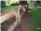 Dunoon NSW 2480
