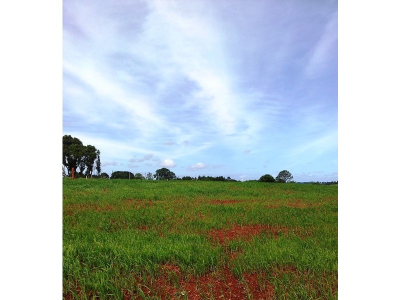 Lot 19 Plateau Drive Wollongbar Park Estate, Wollongbar NSW 2477