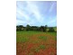 Lot 17 Plateau Drive Wollongbar Park Estate, Wollongbar NSW 2477