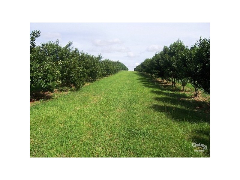 109 Channon Road, Dunoon NSW 2480