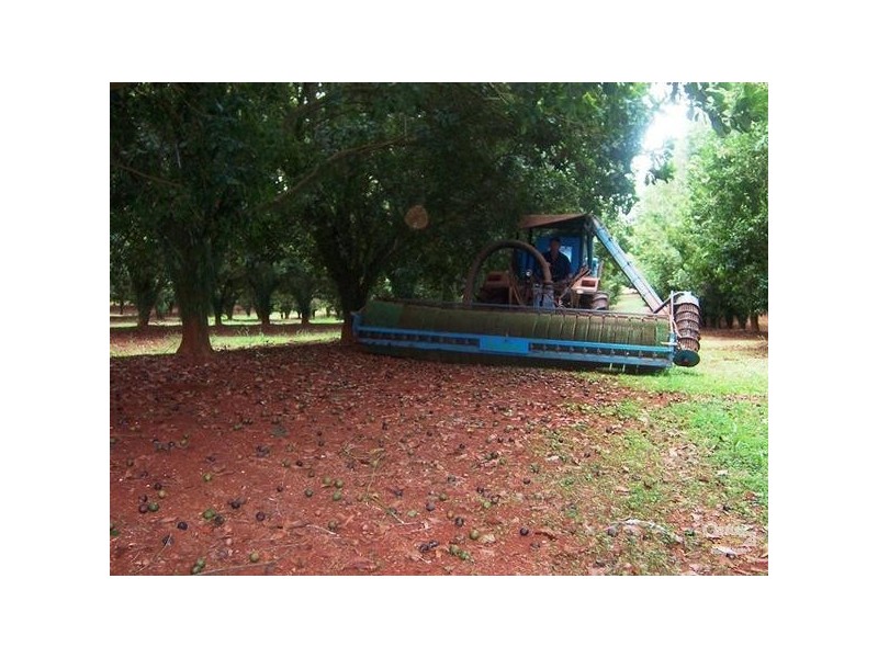 109 Channon Road, Dunoon NSW 2480