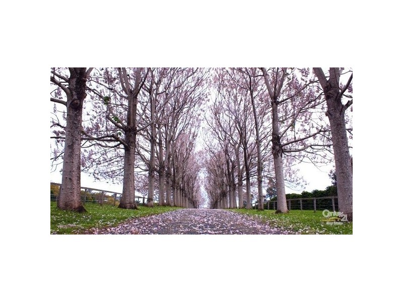 185 Cooks Lane, Alstonville NSW 2477