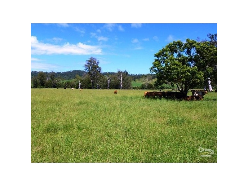 1071 Wiangaree Back Road, Kyogle NSW 2474