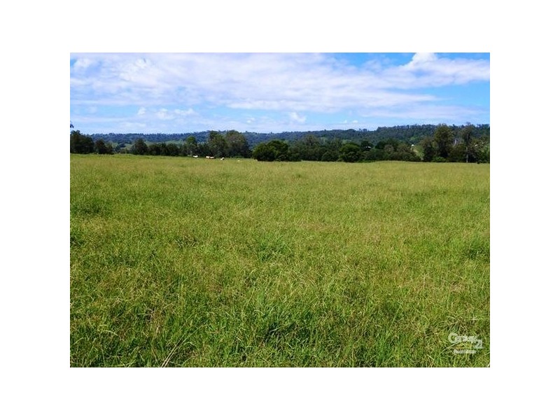 1071 Wiangaree Back Road, Kyogle NSW 2474