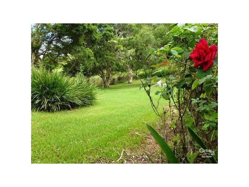 1071 Wiangaree Back Road, Kyogle NSW 2474