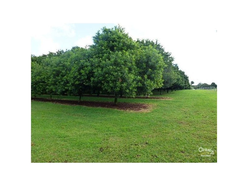 373 Ellis Road, Alstonville NSW 2477