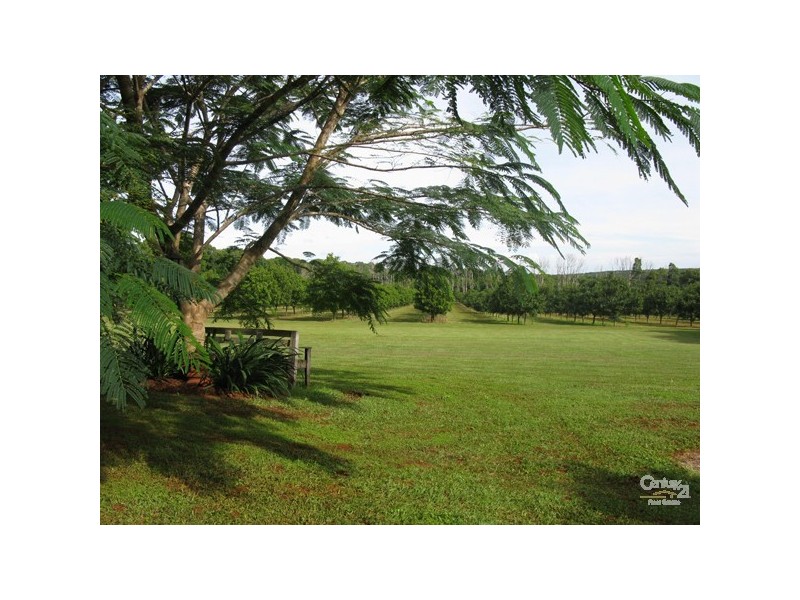 373 Ellis Road, Alstonville NSW 2477