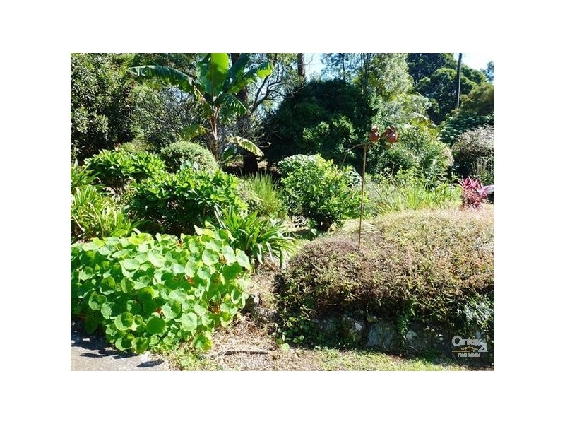 131 Rous Mill Road, Alstonville NSW 2477