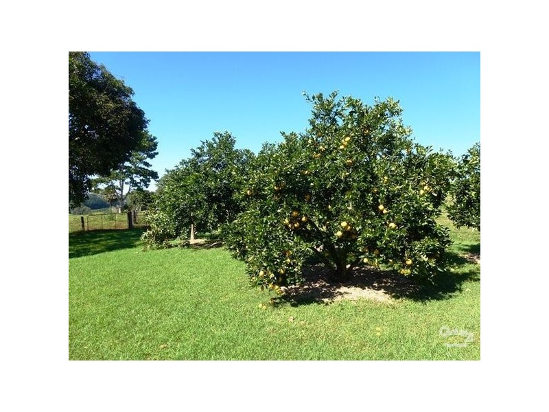 131 Rous Mill Road, Alstonville NSW 2477