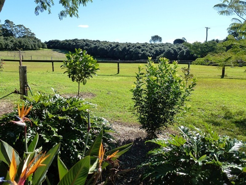 410 Houghlahans Creek Road, Teven NSW 2478