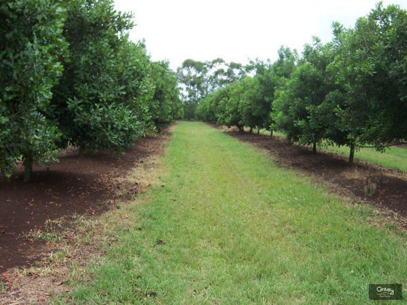 100 Lees Lane, Hogarth Range NSW 2469