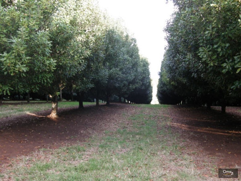 100 Lees Lane, Hogarth Range NSW 2469
