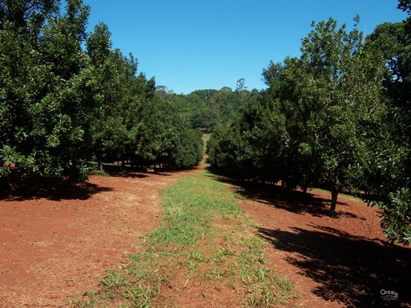 Dunoon NSW 2480