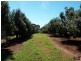 Dunoon NSW 2480