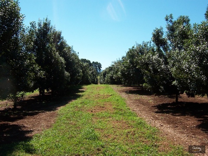 Dunoon NSW 2480