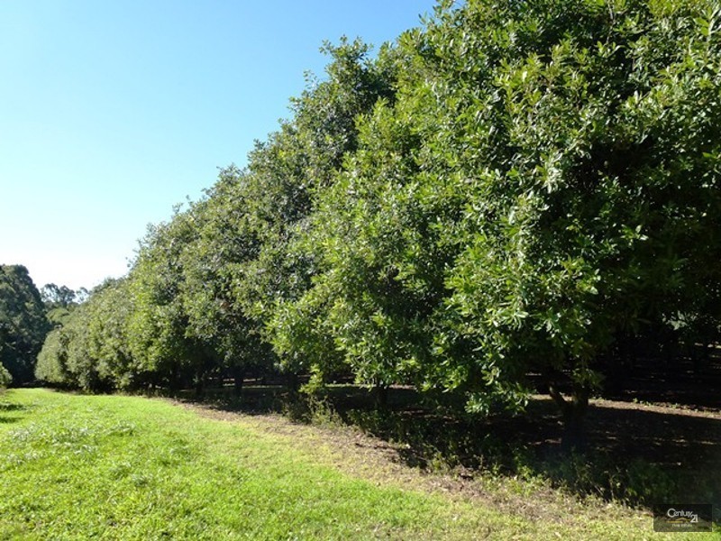 Alstonville NSW 2477