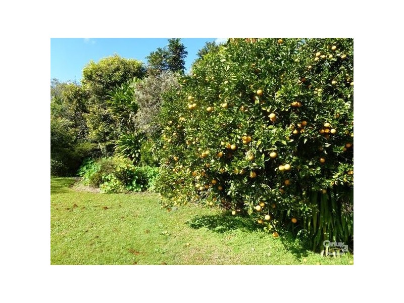 3 Daley Street, Alstonville NSW 2477